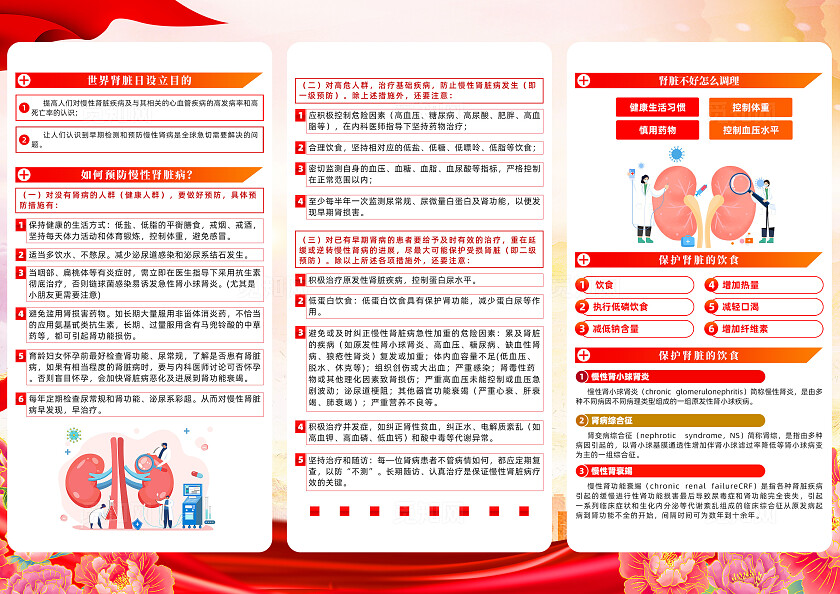 红色简约人人享有肾脏健康世界肾脏日三折页宣传