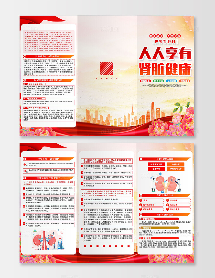 红色简约人人享有肾脏健康世界肾脏日三折页宣传