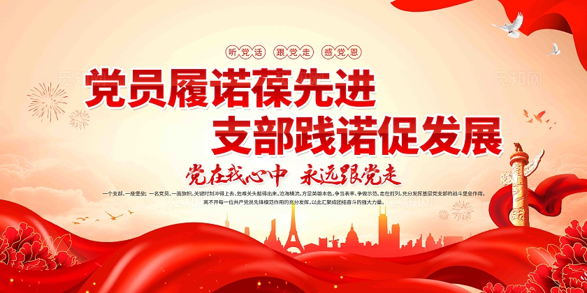 党员履诺葆先进支部践诺促发展党支部宣传党建展板