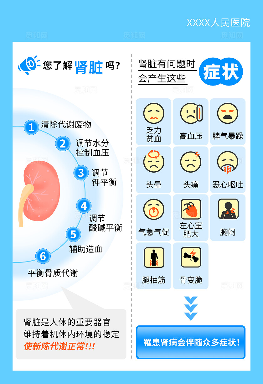 蓝色肾脏病主题知识宣传海报