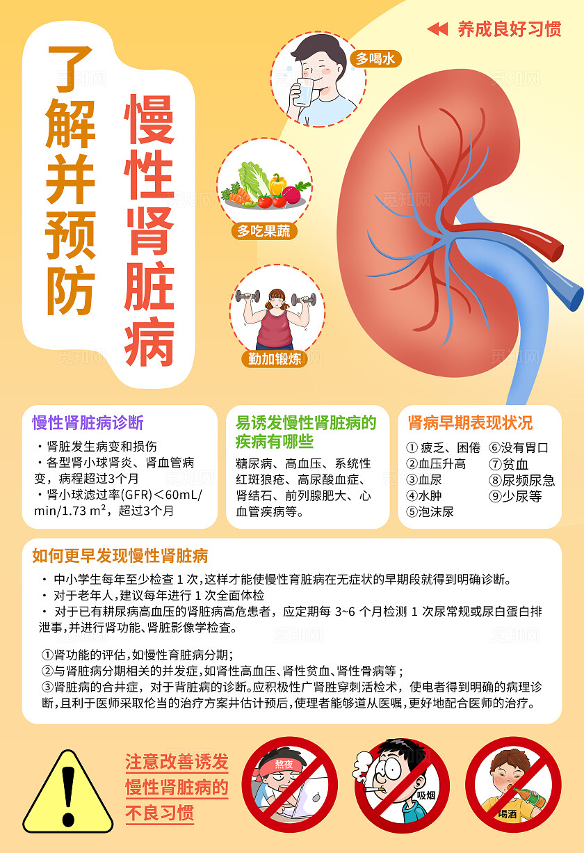 卡通扁平肾脏病知识科普宣传海报