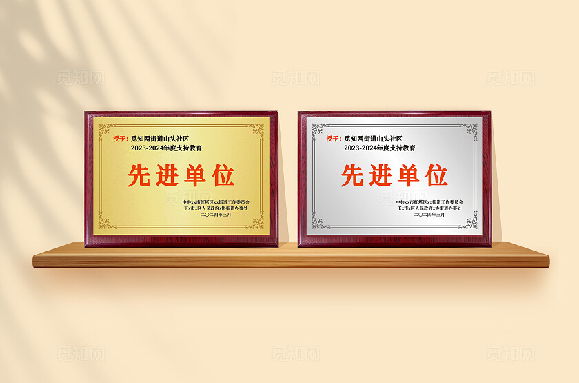 年度支持教育先进单位金色铜牌银色奖牌