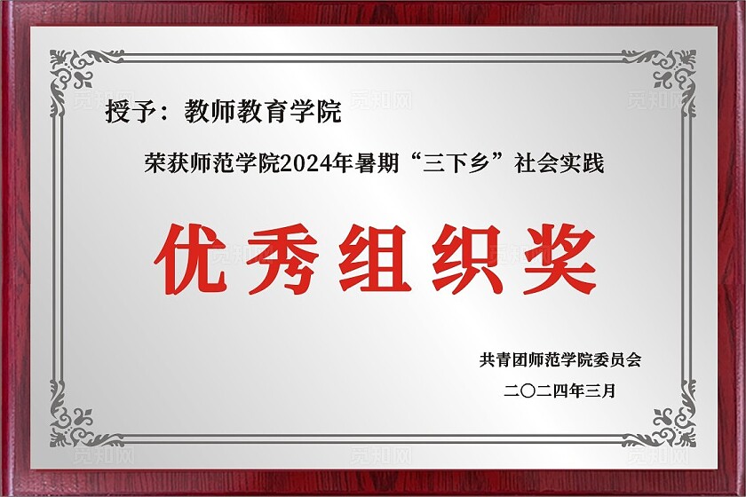 师范学院社会实践优秀组织奖金色铜牌银色奖牌
