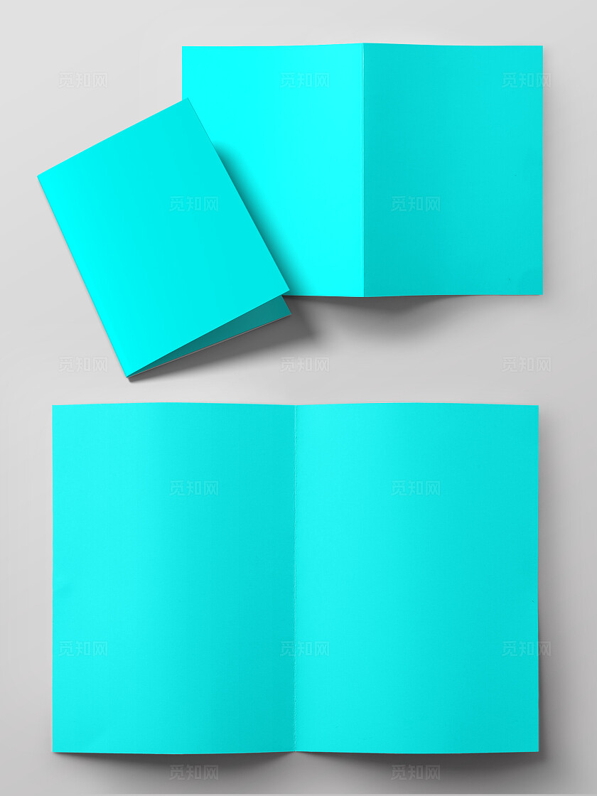 双面折页节目单菜单样机