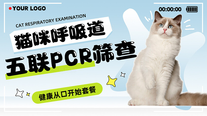 果冻色渐变简约风宠物诊疗医院体检海报轮播bannerbanner轮播图