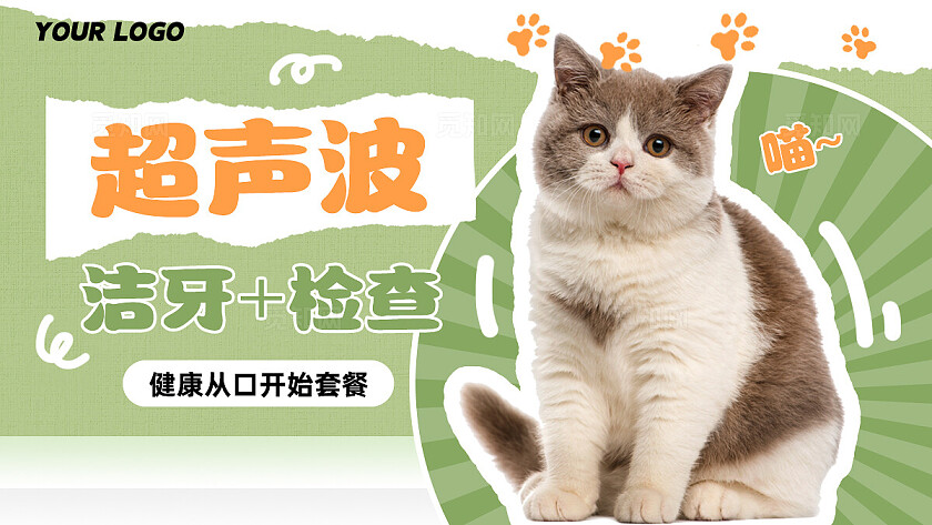 果冻色渐变简约风宠物诊疗医院体检海报轮播bannerbanner轮播图