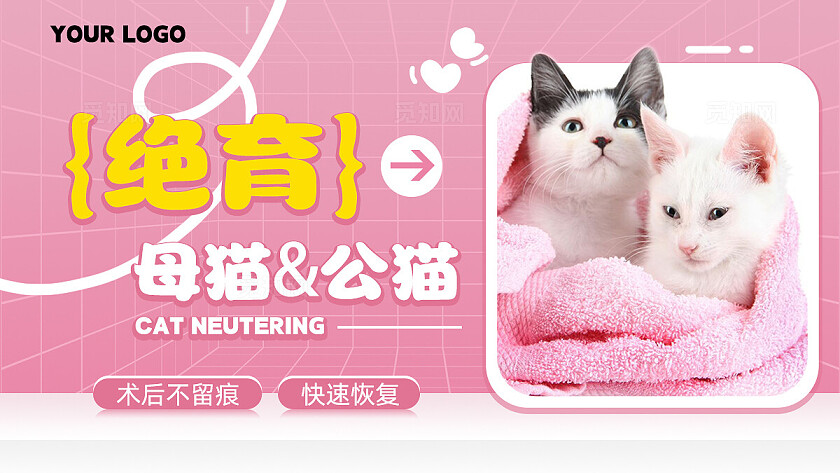 果冻色渐变简约风宠物诊疗医院体检海报轮播bannerbanner轮播图