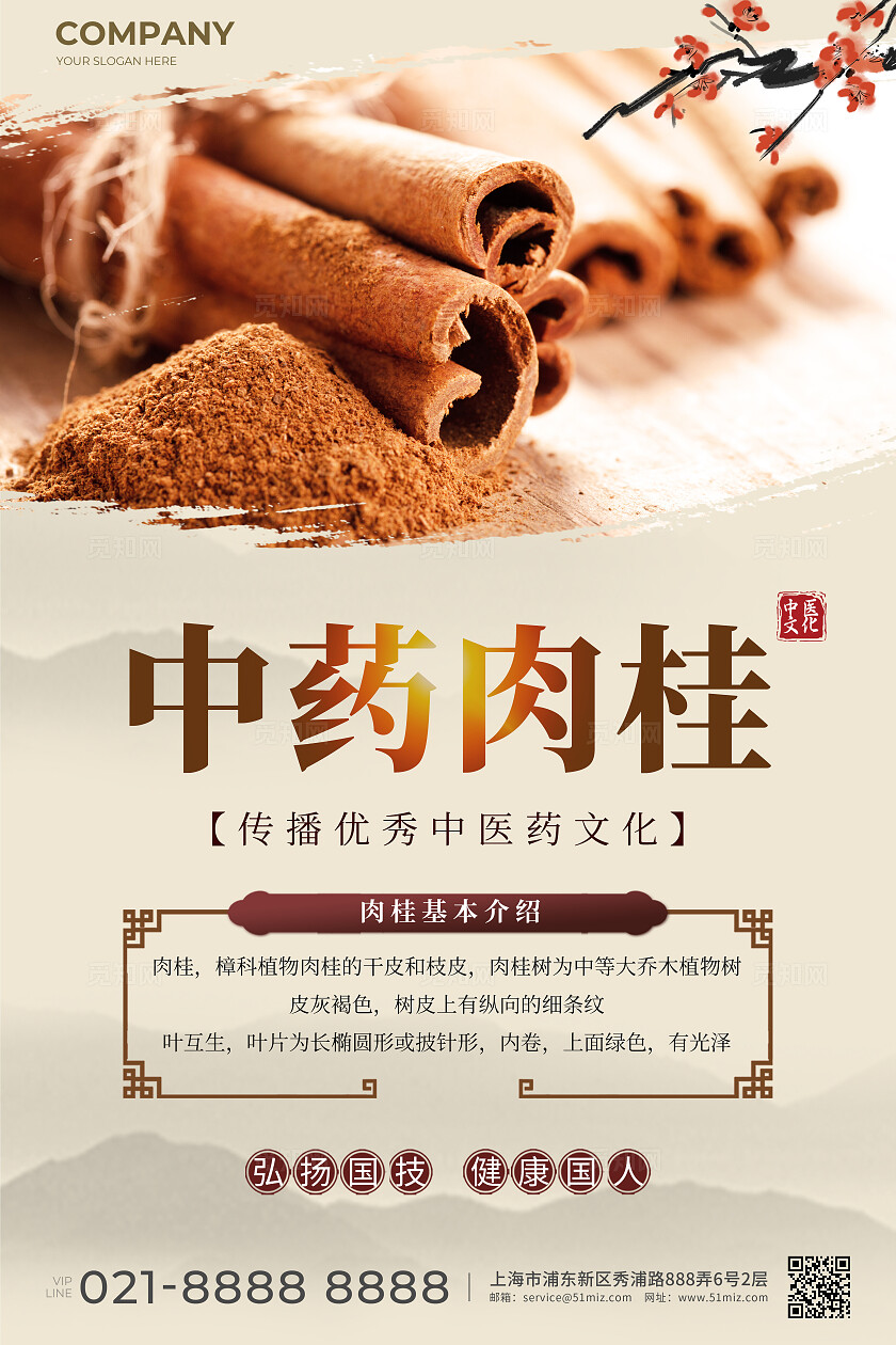 高端中医药药材宣传海报套图