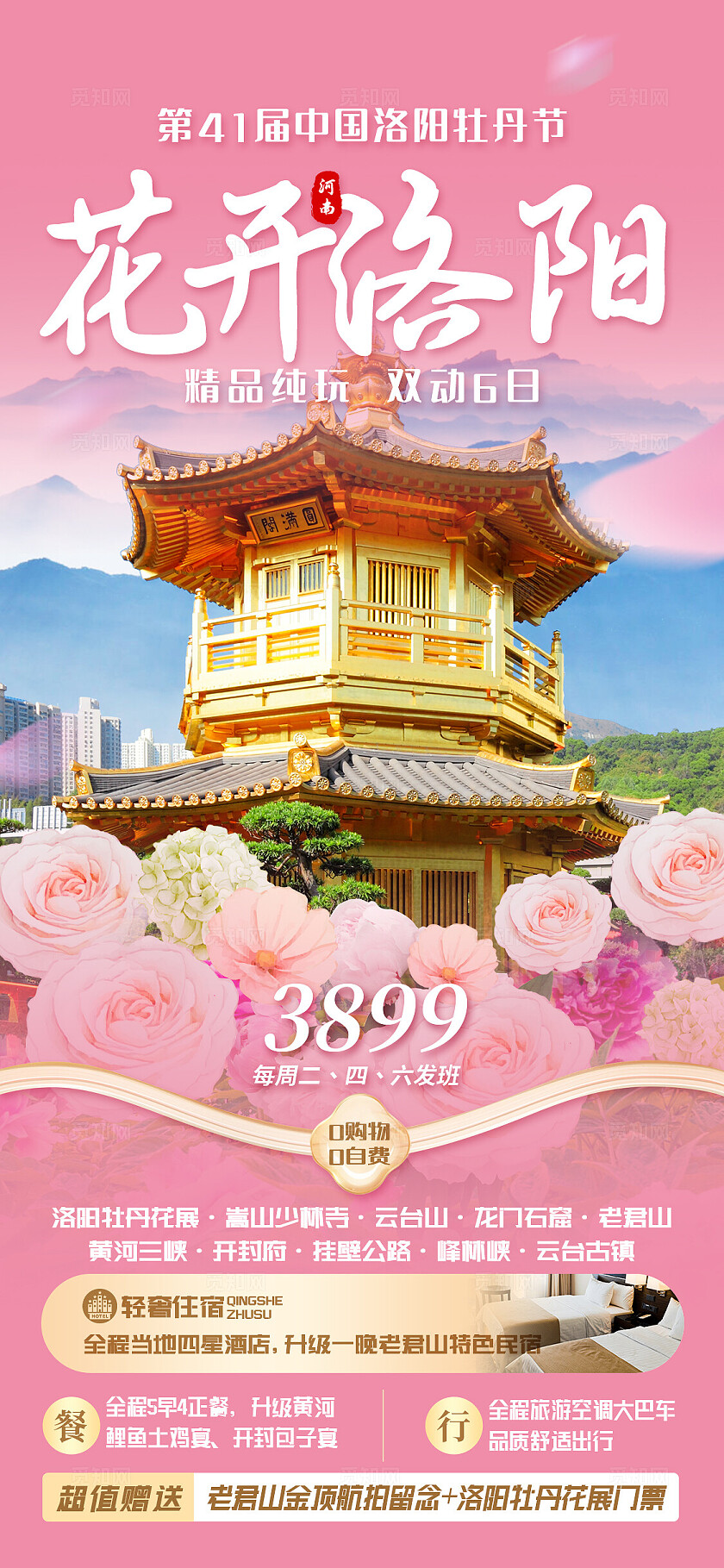 粉色洛阳赏花花海旅游宣传海报