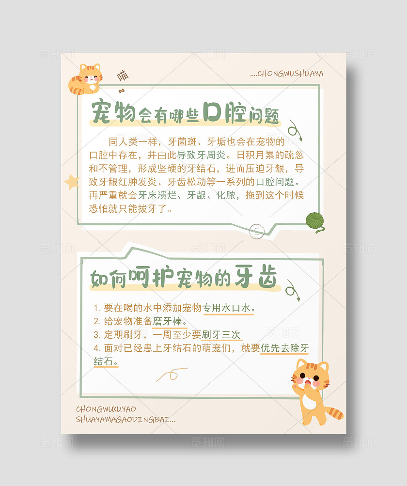 简约平面呵护宠物牙齿小红书封面