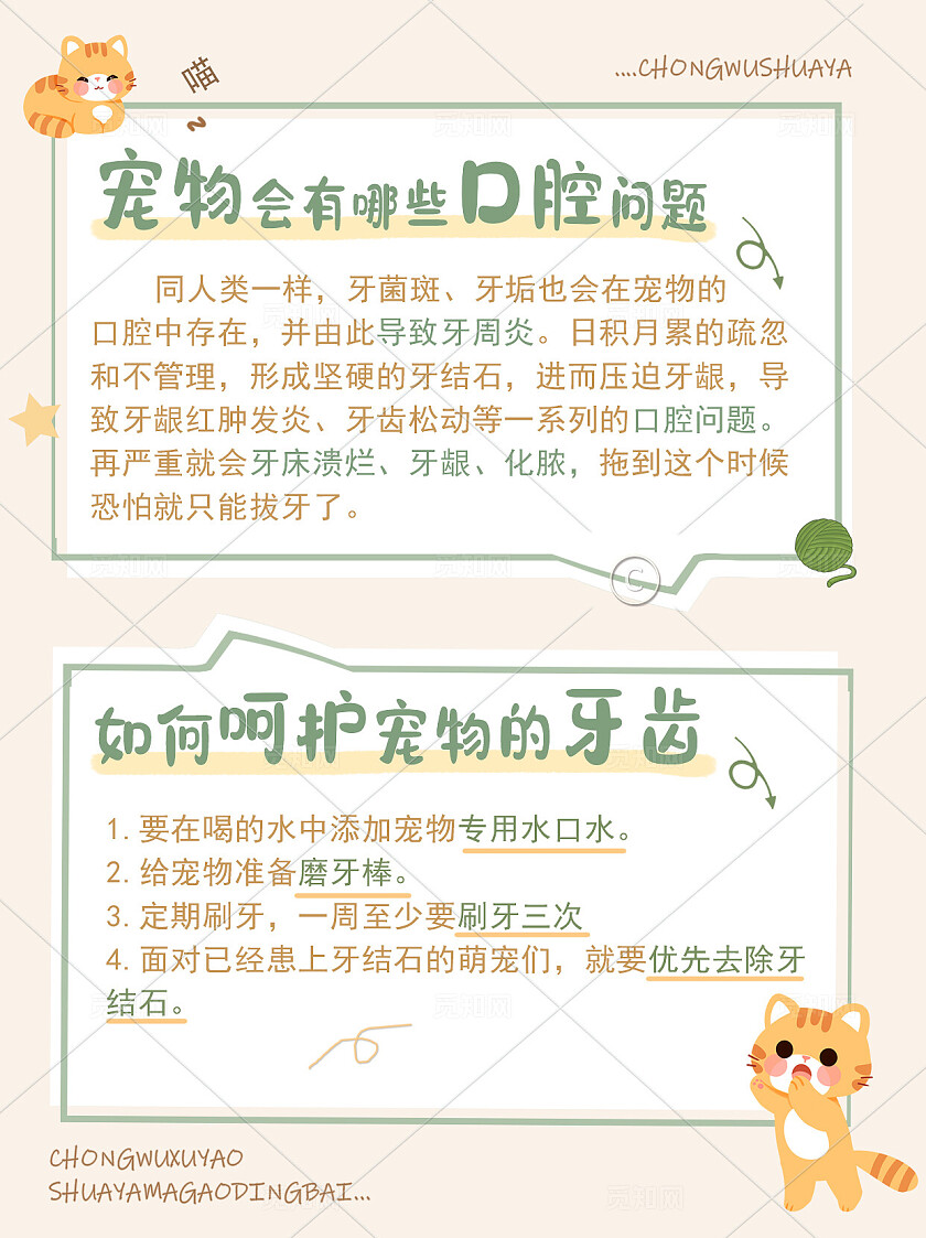 简约平面呵护宠物牙齿小红书封面