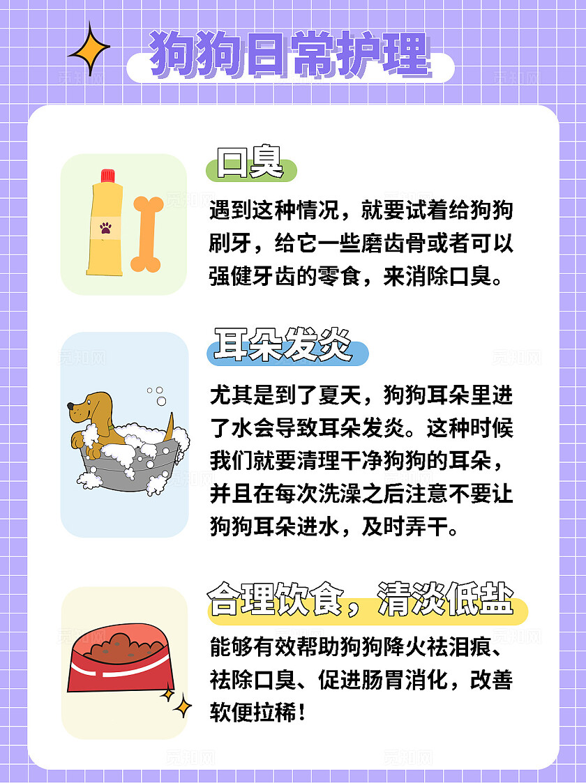 紫色扁平风狗狗日常护理文案素材模板小红书封面