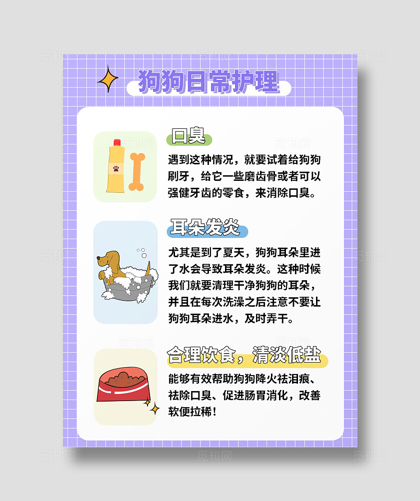紫色扁平风狗狗日常护理文案素材模板小红书封面