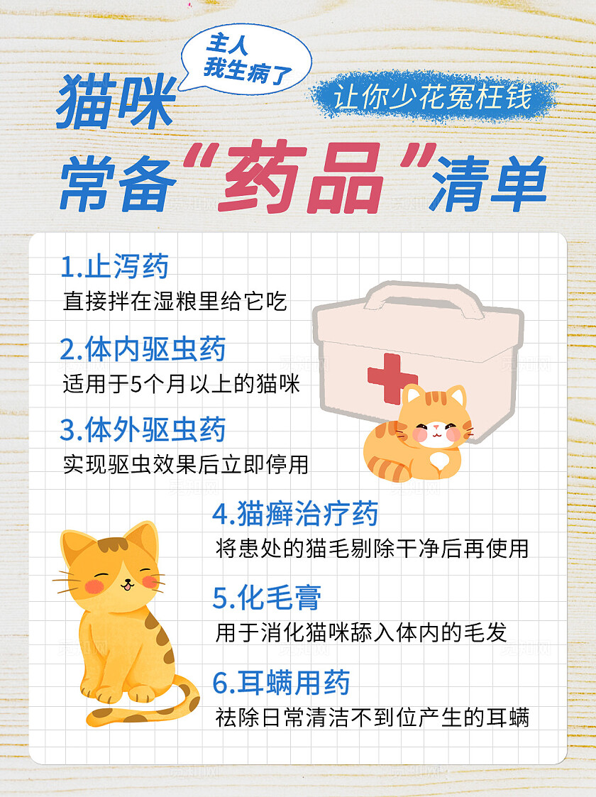 卡通简约猫咪常用药品清单小红书封面
