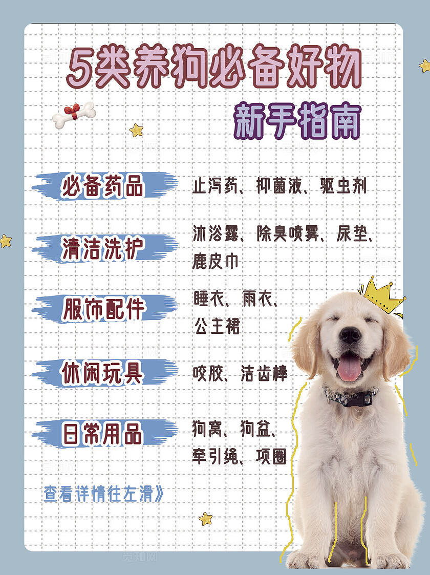 格子背景可爱狗狗新手指南必备好物小红书封面