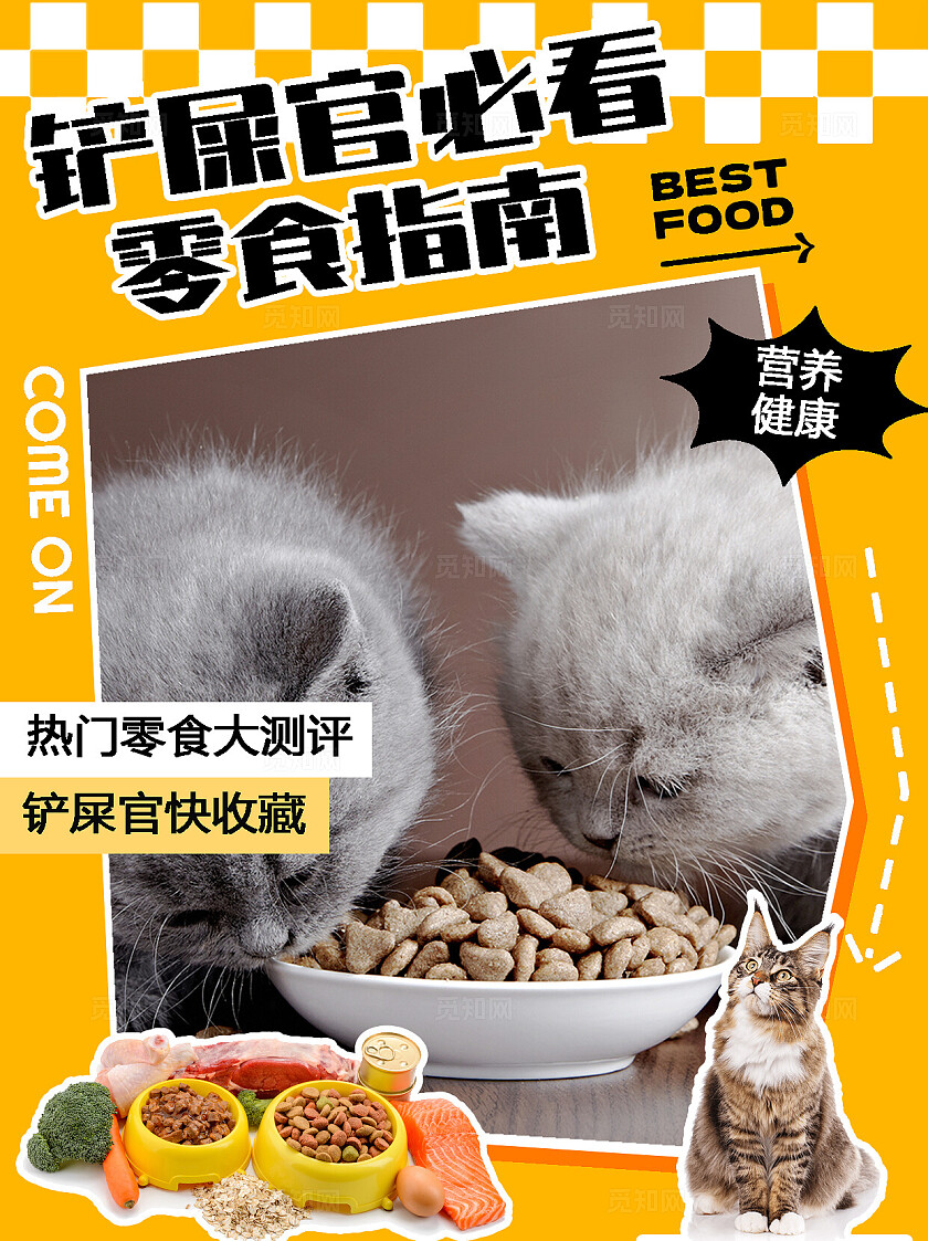 铲屎官必看宠物零食指南小红书封面