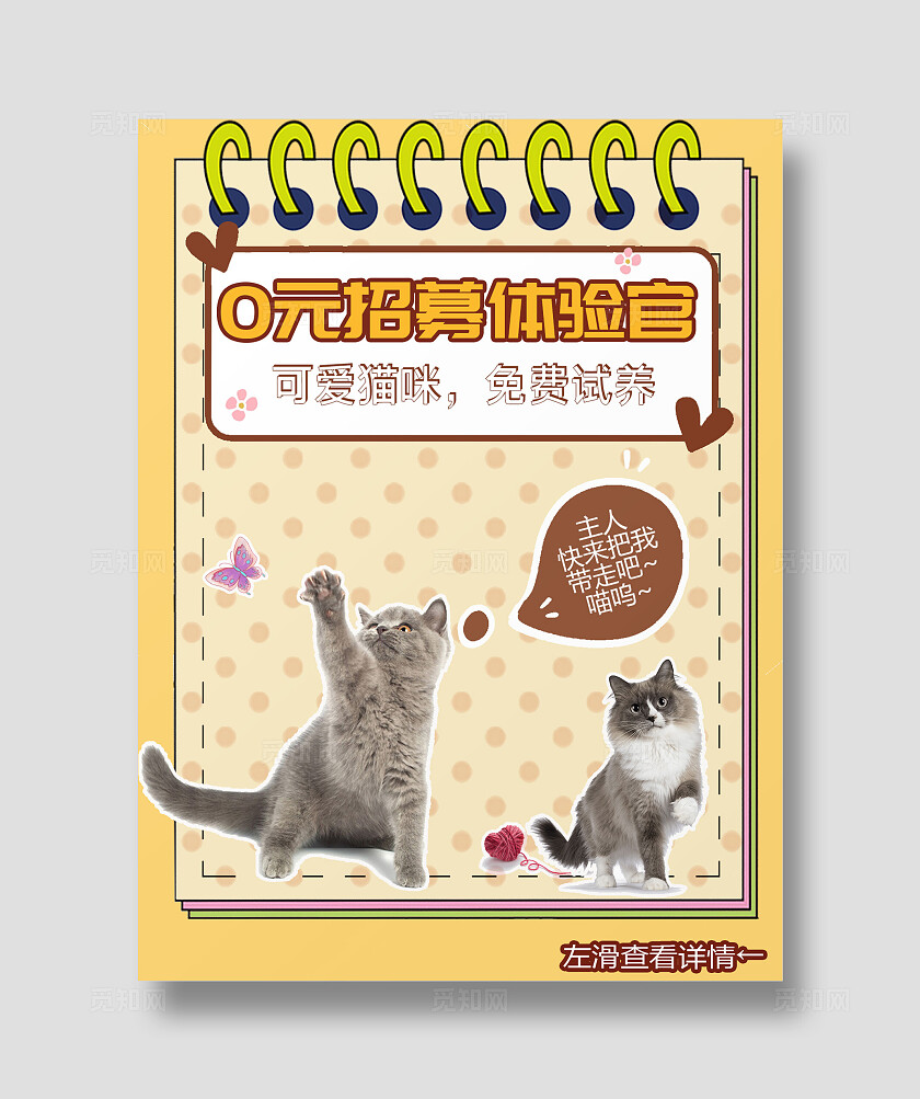 橙色扁平圆点猫咪铲屎官体验官领养招募福利活动宣传小红书封面