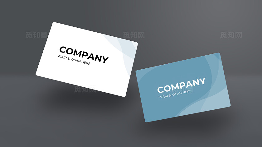 简约大气科技网络卡片名片样机