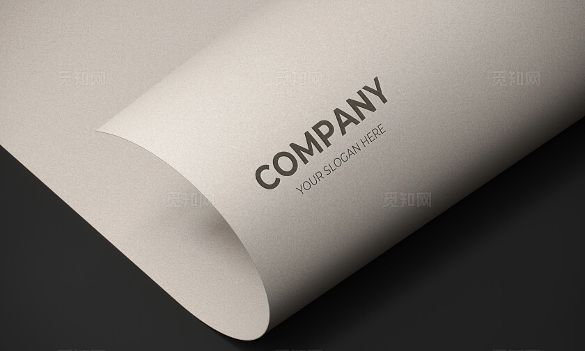 白色特种纸上面LOGO样机