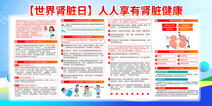 2024肾脏病健康科普世界肾脏日宣传栏展板