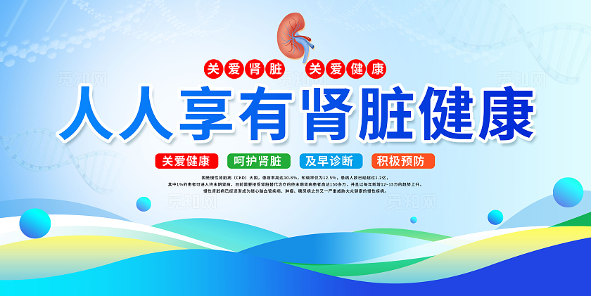 2024肾脏病健康科普世界肾脏日宣传栏展板
