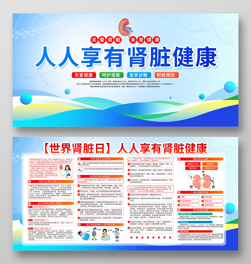 2024肾脏病健康科普世界肾脏日宣传栏展板