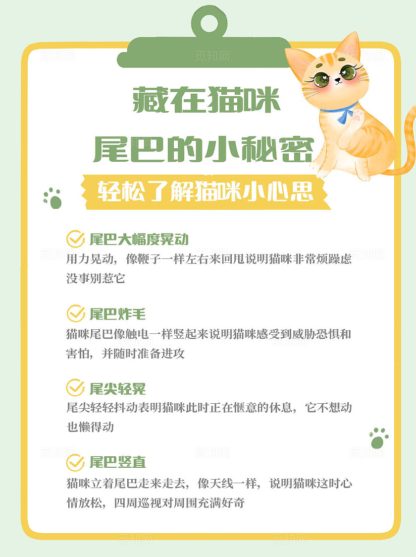 2024藏在猫咪尾巴里的小秘密小红书素材小红书封面