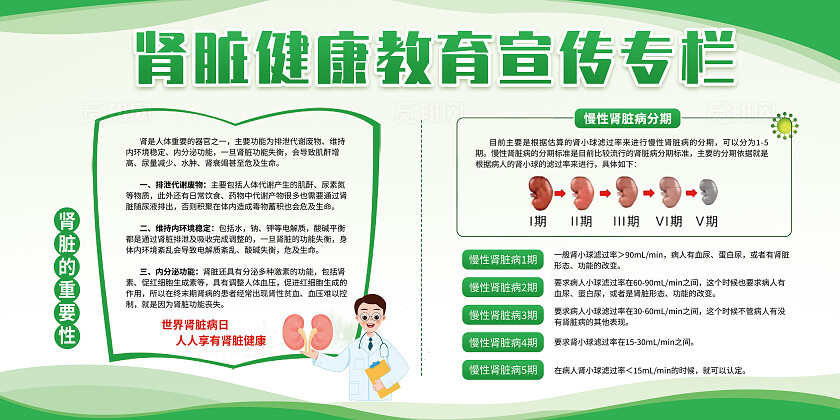 绿色简约清新肾脏病防治健康教育宣传栏展板