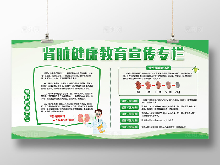 绿色简约清新肾脏病防治健康教育宣传栏展板
