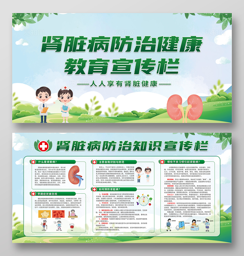 绿色清新肾脏病防治健康教育宣传栏展板