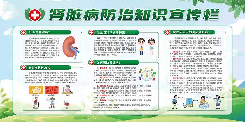 绿色清新肾脏病防治健康教育宣传栏展板