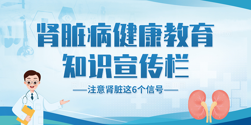 蓝色医疗科技风肾脏病健康教育知识宣传栏展板
