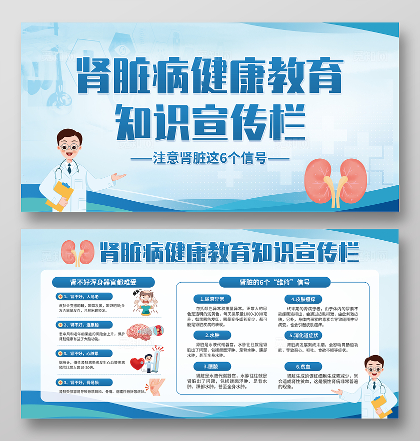 蓝色医疗科技风肾脏病健康教育知识宣传栏展板