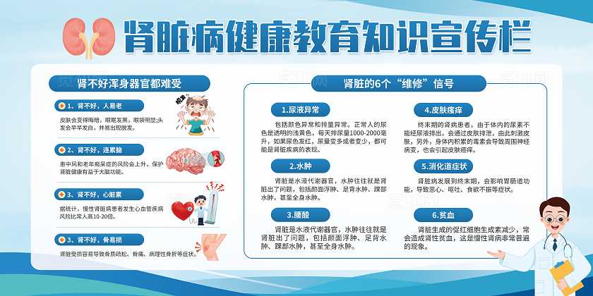 蓝色医疗科技风肾脏病健康教育知识宣传栏展板