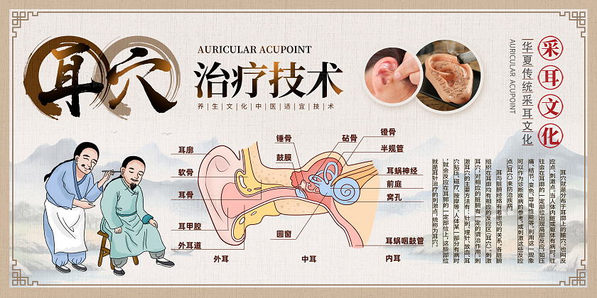 复古耳穴中医文化宣传展板设计