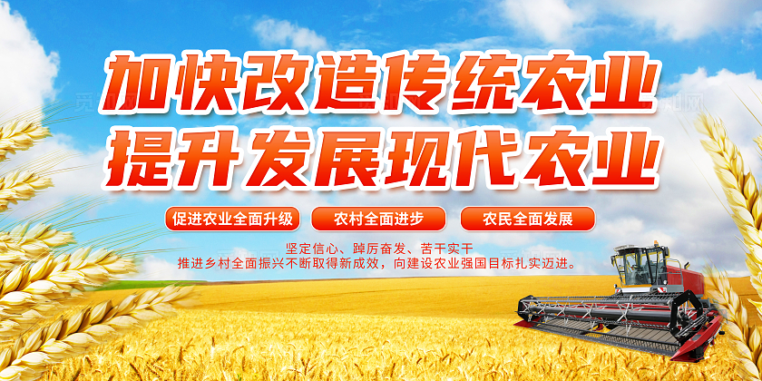 写实麦子麦田摄影图党建现代农业宣传展板