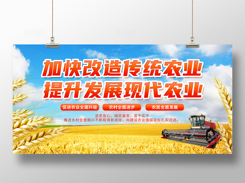 写实麦子麦田摄影图党建现代农业宣传展板