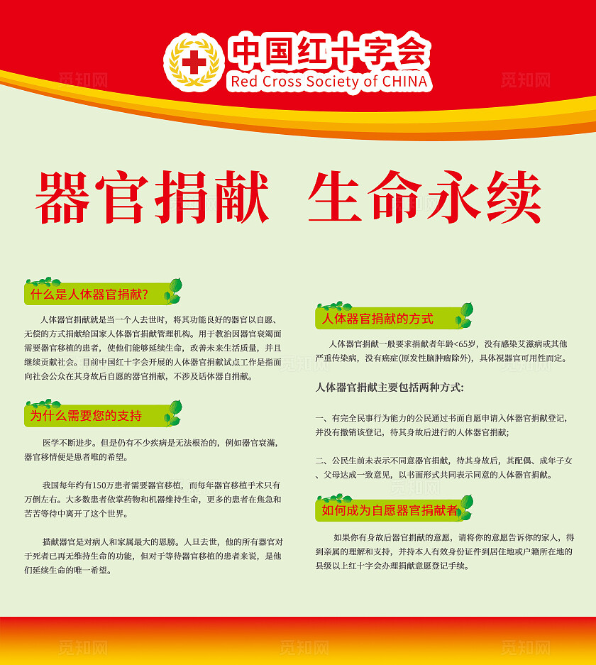 红十字会器官捐献展板科普海报