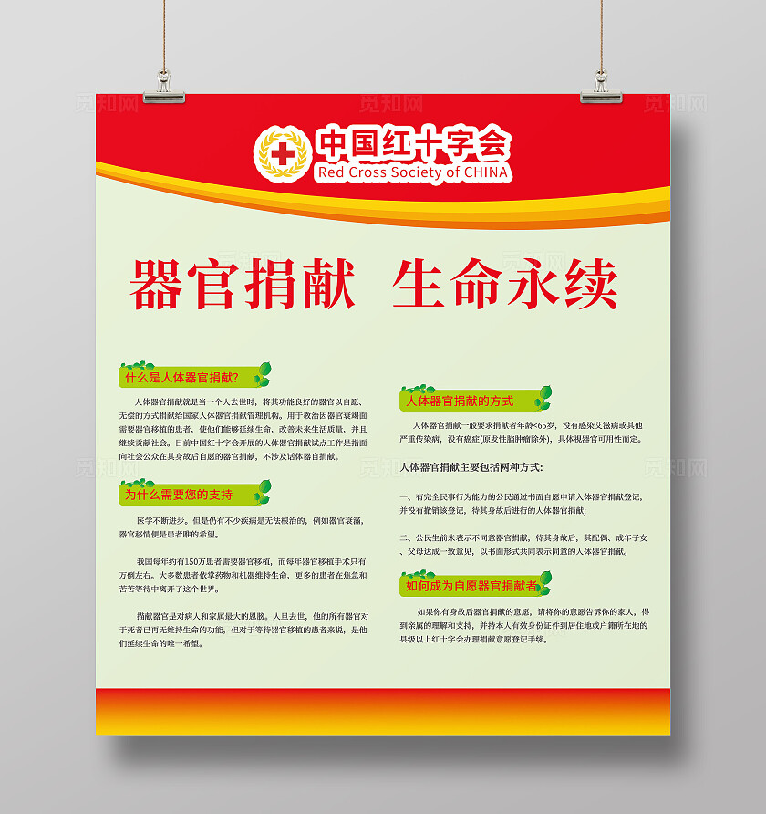 红十字会器官捐献展板科普海报