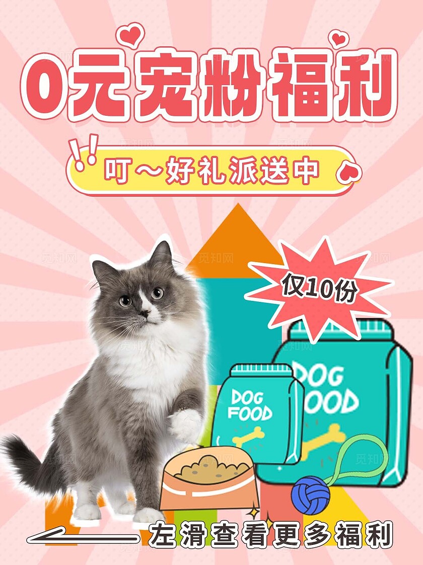 粉色摄影素材拼贴宠物宠粉福利萌宠好礼派送小红书封面