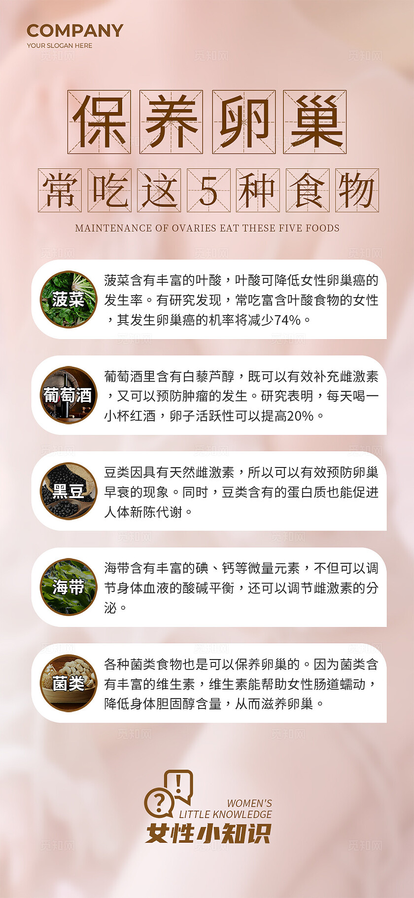 暖巢保养吃什么宣传海报