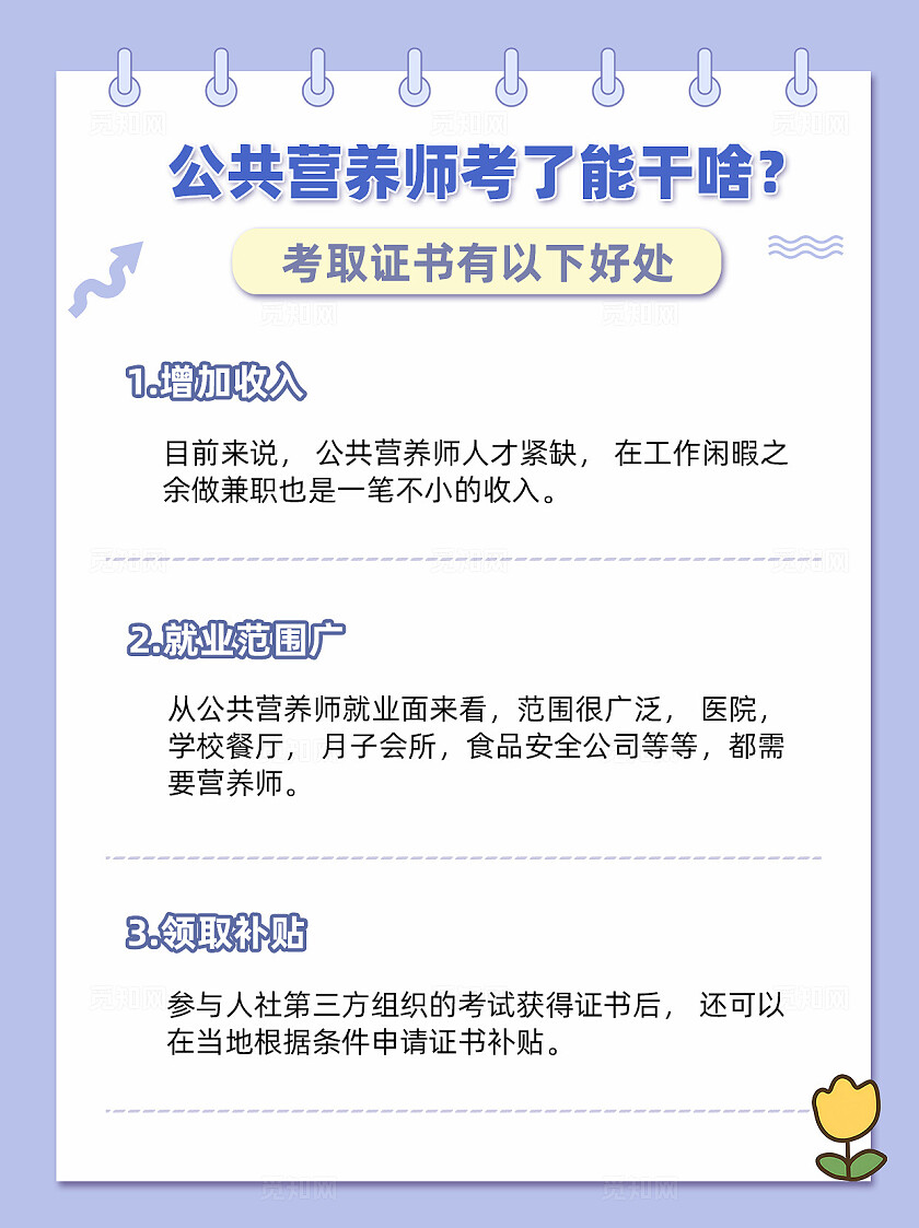 紫色简约手绘手账风考取公共营养师的好处宣传海报小红书封面