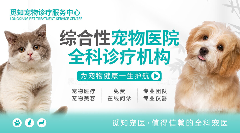 蓝色简约大气风觅知宠物医院大众点评轮播图