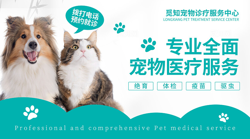 蓝色简约大气风觅知宠物医院大众点评轮播图