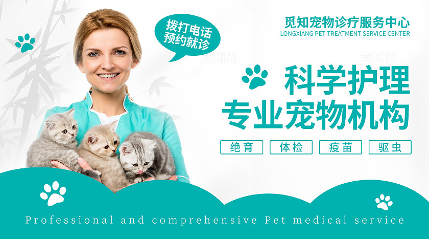 蓝色简约大气风觅知宠物医院大众点评轮播图