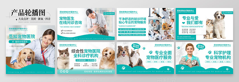 蓝色简约大气风觅知宠物医院大众点评轮播图