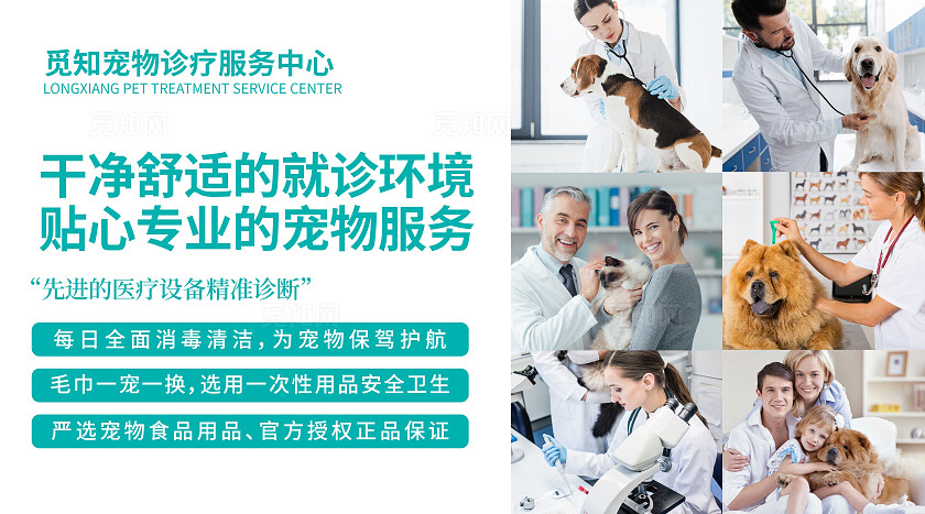 蓝色简约大气风觅知宠物医院大众点评轮播图