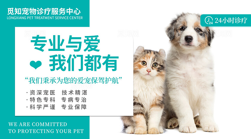 蓝色简约大气风觅知宠物医院大众点评轮播图