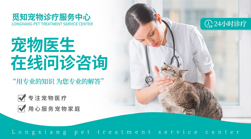 蓝色简约大气风觅知宠物医院大众点评轮播图