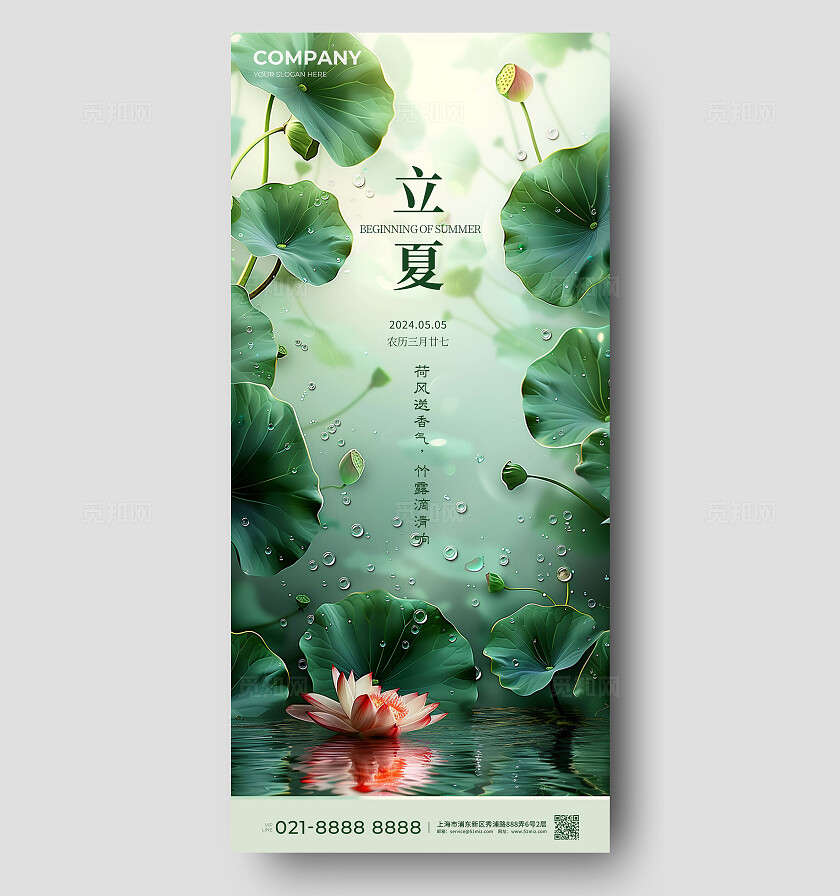 绿色摄影实拍风荷叶立夏手机宣传海报